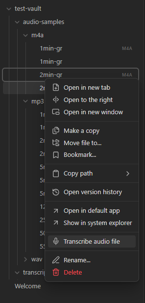 Transcribe File Option